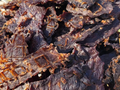 Ocho Yaki 3oz Bag